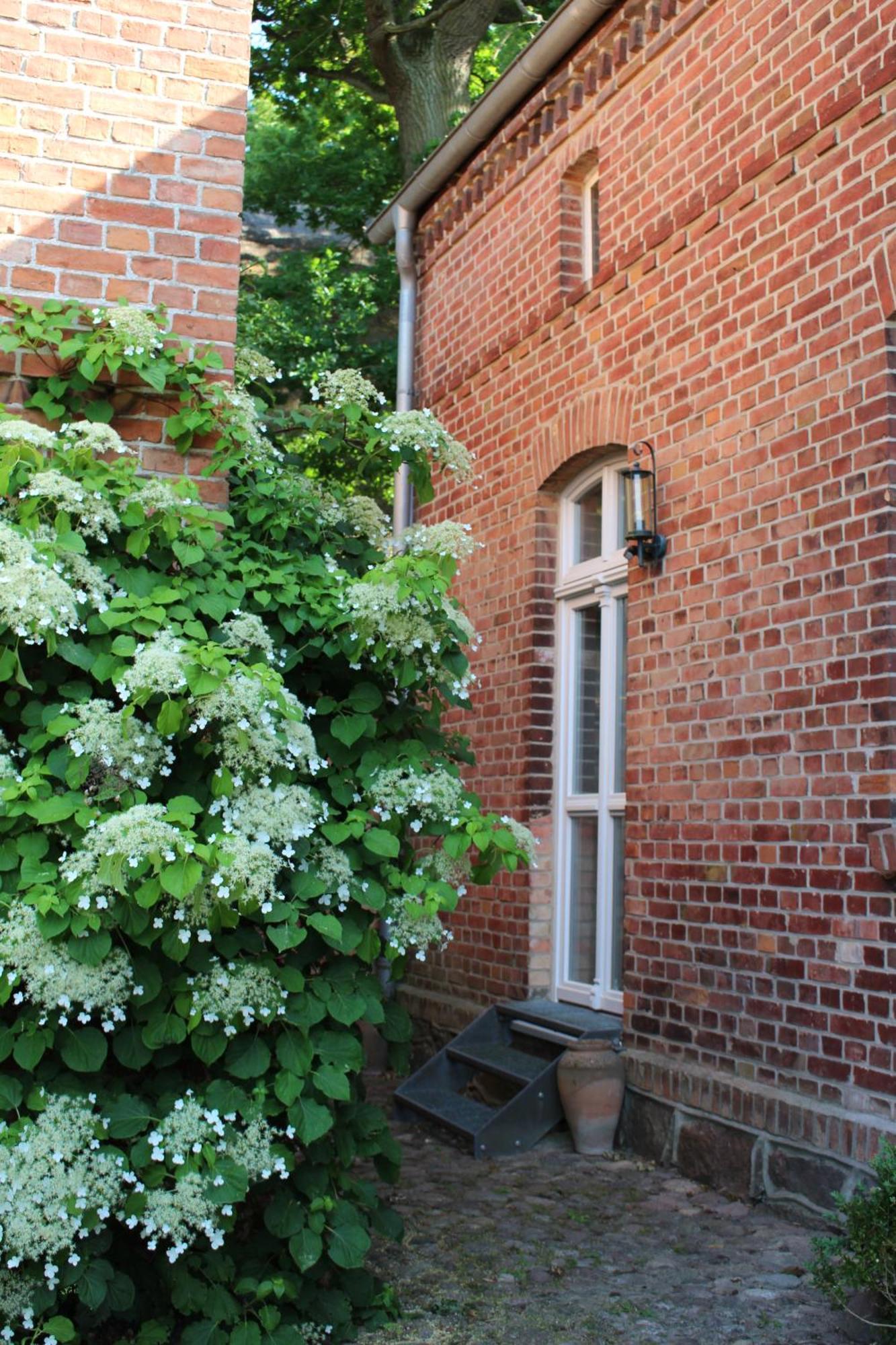 Ferienwohnung Buchholz Buchholz  Екстериор снимка
